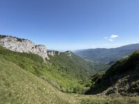 IMG_4564.jpeg