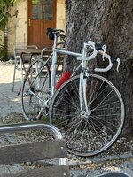IMG_4591.jpeg