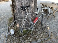 IMG_4592.jpeg