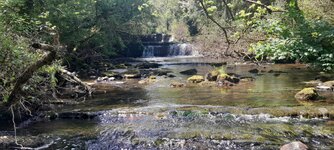 20260525_135133.jpg