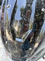 IMG_4596.jpeg