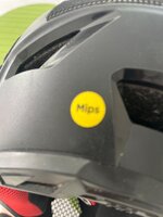 IMG_3595.jpeg