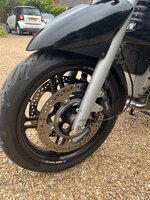 IMG_3431.jpeg