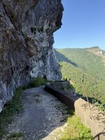 IMG_4628.jpeg