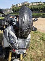 IMG_4667.jpeg