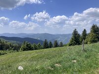 IMG_0695.jpeg