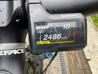 IMG_1615.jpeg