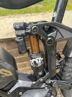 IMG_1623.jpeg
