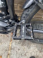 IMG_1625.jpeg