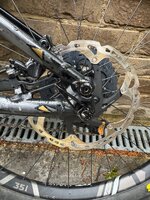 IMG_1626.jpeg