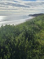 20260531_074349.jpg