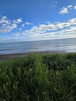 20260531_074440.jpg