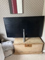 IMG_8246.jpeg IMG_8246.jpeg
