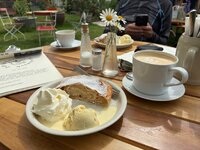 IMG_1964.jpeg IMG_1964.jpeg