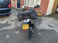 IMG_8452.jpeg IMG_8452.jpeg