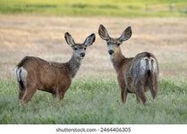 IMG_7902.jpeg