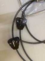 IMG_3181.jpeg