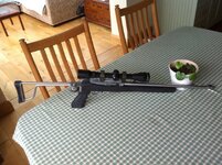 IMG_0384.jpeg