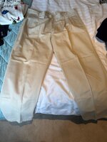 IMG_2991.jpeg