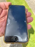 IMG_7975.jpeg
