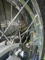 IMG_4692.jpeg