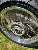 IMG_4687.jpeg