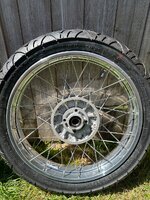 IMG_4685.jpeg