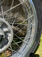 IMG_4686.jpeg