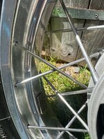 IMG_4691.jpeg