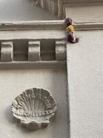 IMG_1583.jpeg