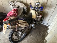 IMG_2465.jpeg