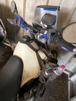 IMG_2469.jpeg