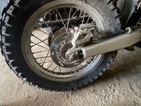 IMG_2471.jpeg
