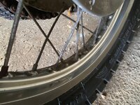 IMG_2472.jpeg