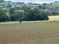 IMG_8414.jpeg