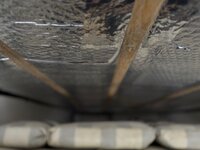 IMG_3040.jpeg