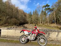 IMG_1355.jpeg
