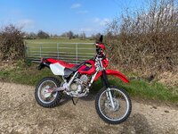 IMG_1350.jpeg