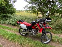 IMG_9937.jpeg