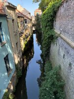 IMG_1907.jpeg