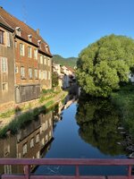 IMG_1922.jpeg
