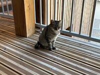 IMG_1928.jpeg