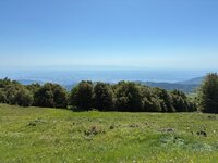 IMG_1942.jpeg