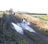 100_0131.jpg