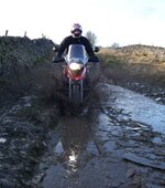 100_0141.jpg