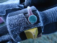 Cold.jpg