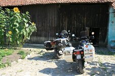 1 (258).jpg