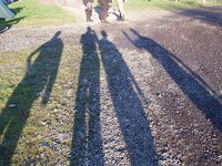 P1010009.jpg
