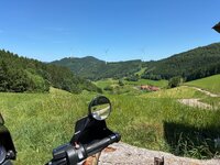 IMG_1953.jpeg