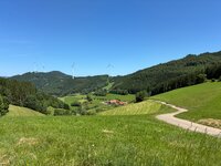 IMG_1954.jpeg